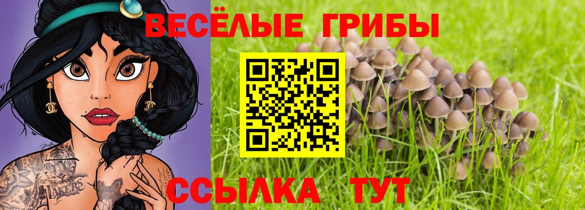 Ишимбай  Галлюциногенные грибы GOLDEN TEACHER  Псилоцибиновые грибы ЛСД  Вход с VPN 