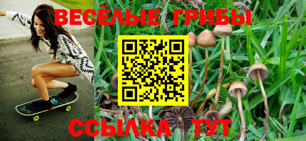 Псилоцибиновые грибы прущие грибы Ишимбай